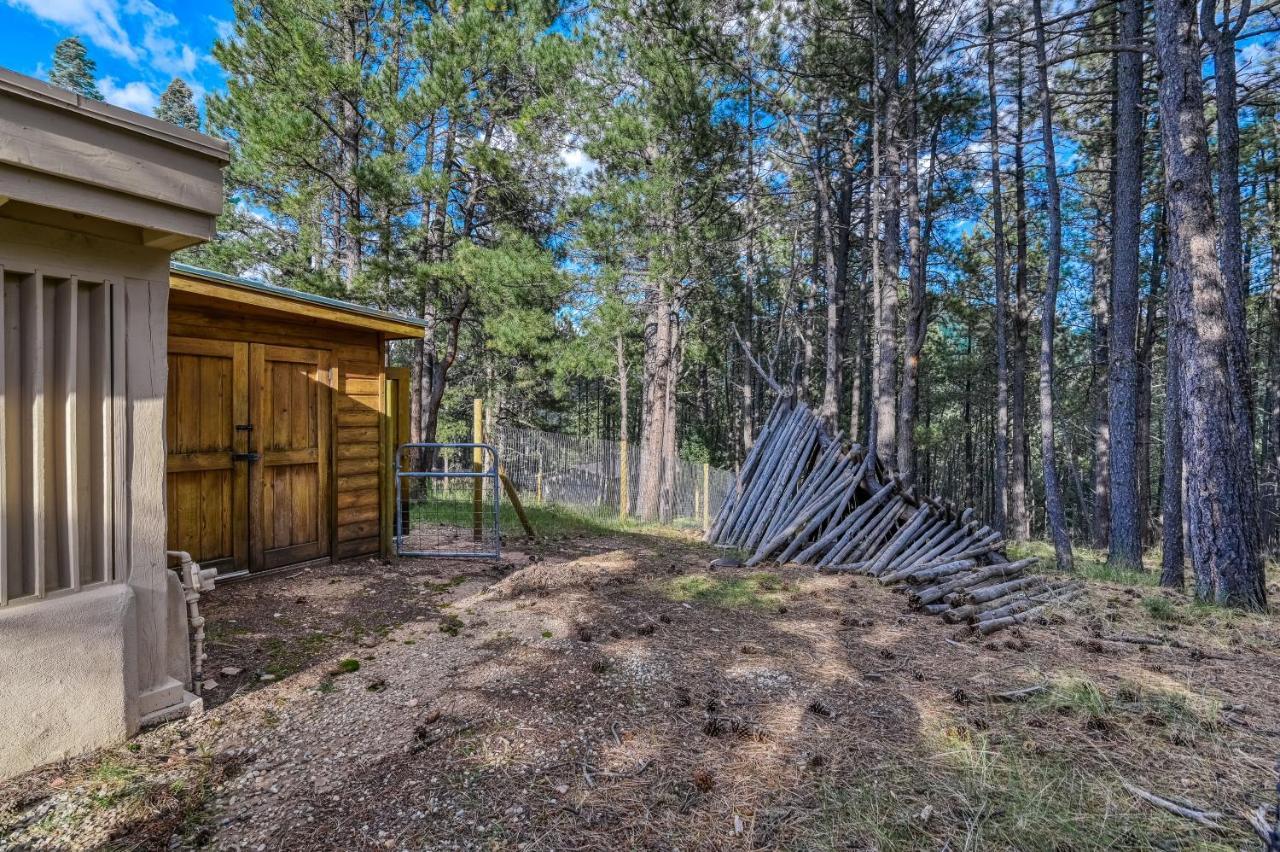 Palace In The Pines Villa Angel Fire Exterior photo